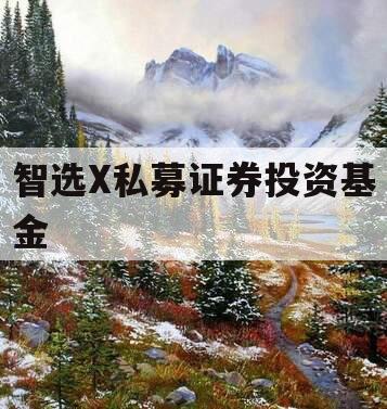 智选X私募证券投资基金