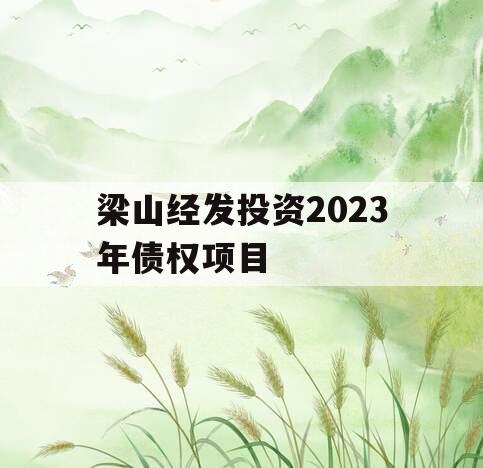 梁山经发投资2023年债权项目