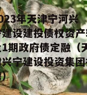 2023年天津宁河兴宁建设建投债权资产转让1期政府债定融（天津兴宁建设投资集团招聘）