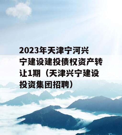 2023年天津宁河兴宁建设建投债权资产转让1期（天津兴宁建设投资集团招聘）