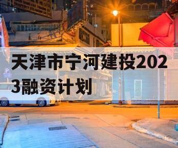 天津市宁河建投2023融资计划