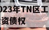 2023年TN区工业投资债权