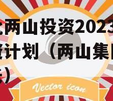 湖北两山投资2023融资计划（两山集团董事长）