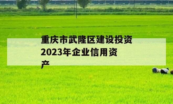 重庆市武隆区建设投资2023年企业信用资产