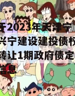 关于2023年天津宁河兴宁建设建投债权资产转让1期政府债定融的信息