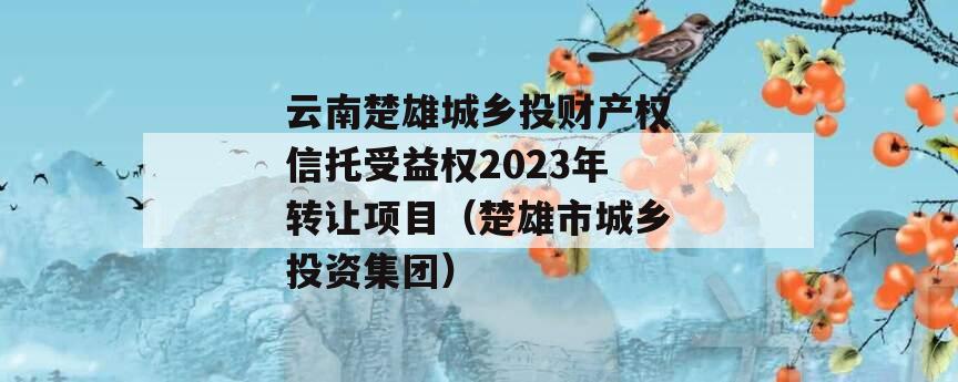 云南楚雄城乡投财产权信托受益权2023年转让项目（楚雄市城乡投资集团）