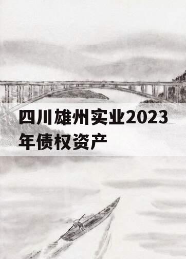 四川雄州实业2023年债权资产