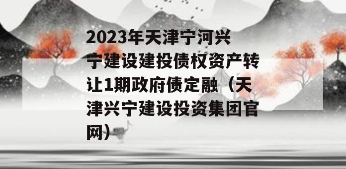 2023年天津宁河兴宁建设建投债权资产转让1期政府债定融（天津兴宁建设投资集团官网）