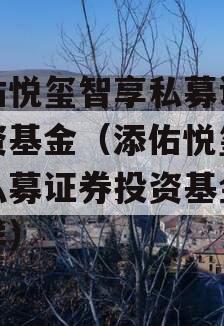 添佑悦玺智享私募证券投资基金（添佑悦玺智享私募证券投资基金怎么样）