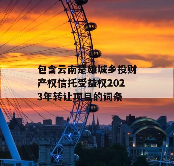 包含云南楚雄城乡投财产权信托受益权2023年转让项目的词条