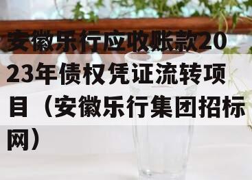 安徽乐行应收账款2023年债权凭证流转项目（安徽乐行集团招标网）