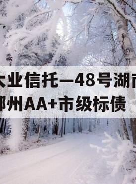 大业信托—48号湖南郴州AA+市级标债