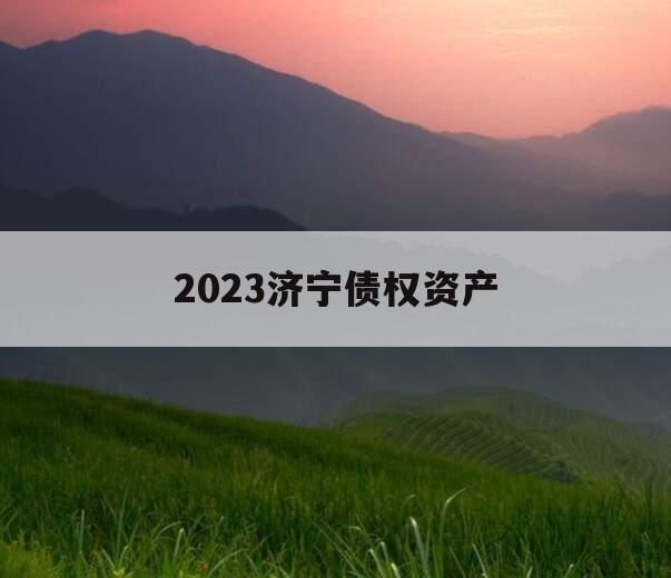 2023济宁债权资产