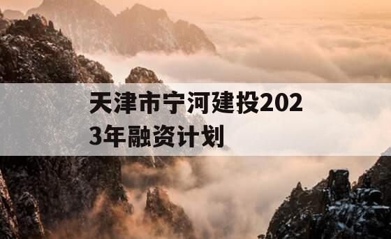 天津市宁河建投2023年融资计划