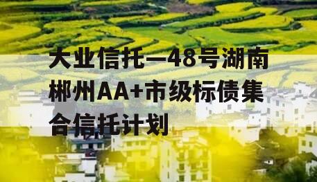 大业信托—48号湖南郴州AA+市级标债集合信托计划