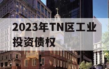 2023年TN区工业投资债权