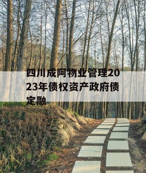 四川成阿物业管理2023年债权资产政府债定融