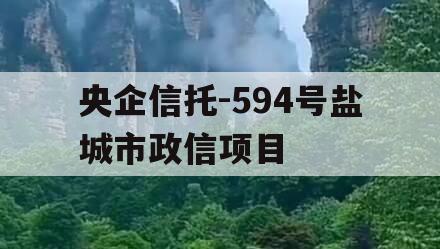 央企信托-594号盐城市政信项目