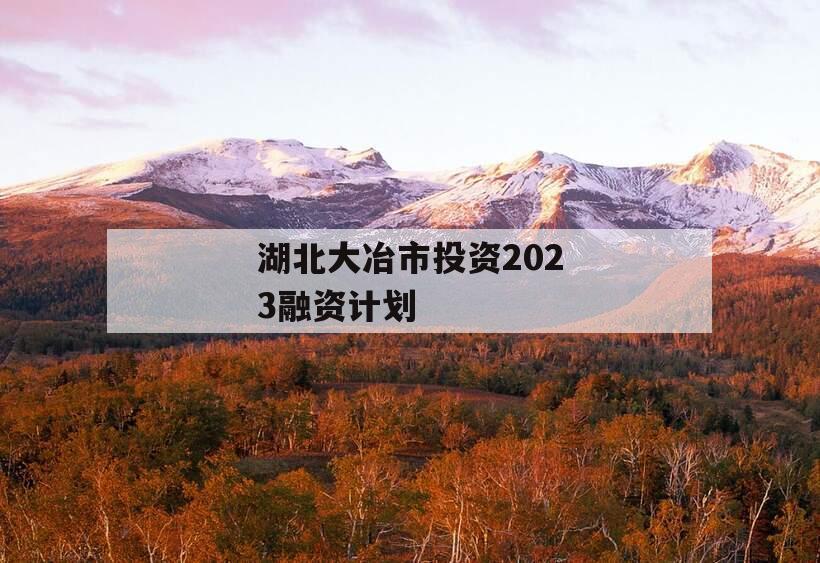 湖北大冶市投资2023融资计划