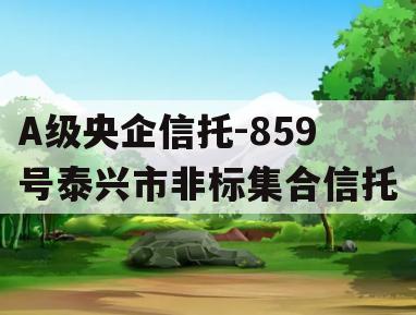 A级央企信托-859号泰兴市非标集合信托