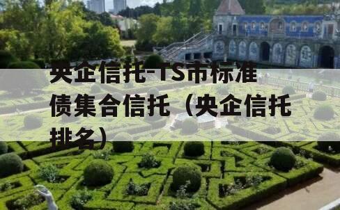 央企信托-TS市标准债集合信托（央企信托排名）