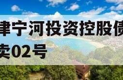 天津宁河投资控股债权拍卖02号