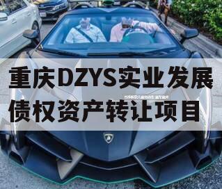 重庆DZYS实业发展债权资产转让项目