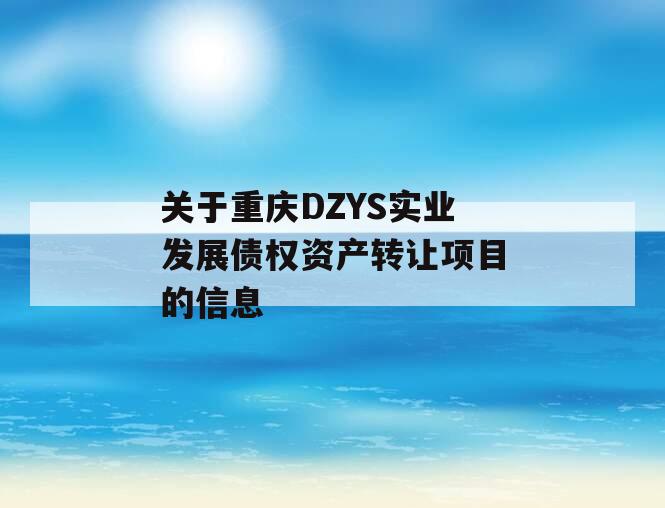 关于重庆DZYS实业发展债权资产转让项目的信息