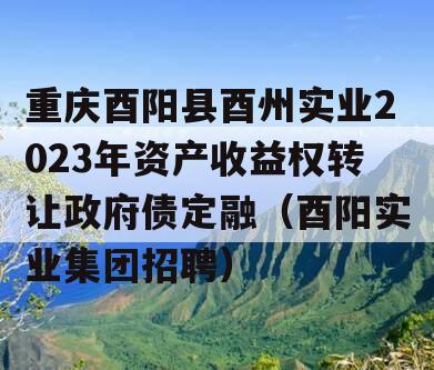 重庆酉阳县酉州实业2023年资产收益权转让政府债定融（酉阳实业集团招聘）