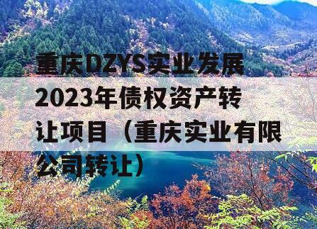 重庆DZYS实业发展2023年债权资产转让项目（重庆实业有限公司转让）