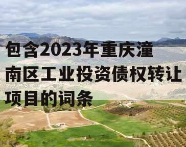 包含2023年重庆潼南区工业投资债权转让项目的词条