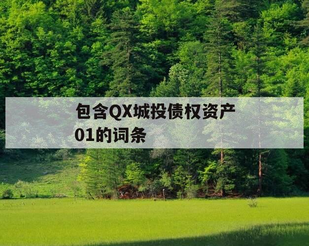 包含QX城投债权资产01的词条