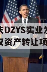 重庆DZYS实业发展债权资产转让项目