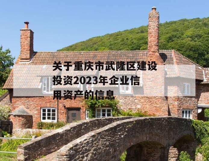 关于重庆市武隆区建设投资2023年企业信用资产的信息