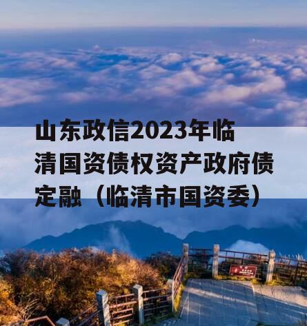 山东政信2023年临清国资债权资产政府债定融（临清市国资委）