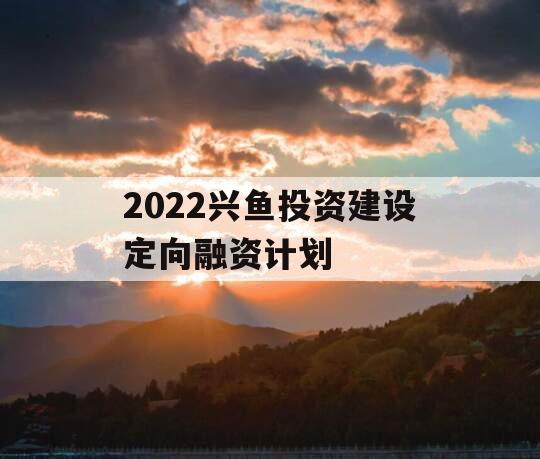 2022兴鱼投资建设定向融资计划