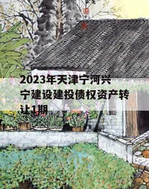 2023年天津宁河兴宁建设建投债权资产转让1期