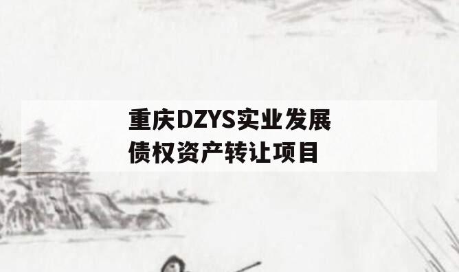 重庆DZYS实业发展债权资产转让项目