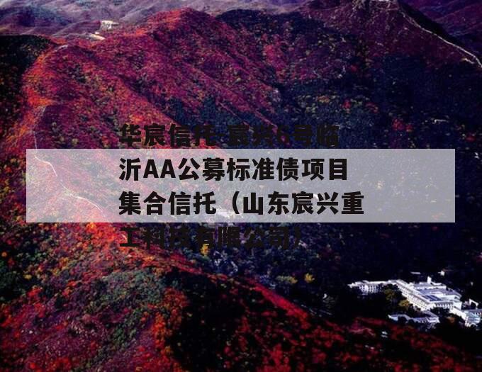 华宸信托-宸兴6号临沂AA公募标准债项目集合信托（山东宸兴重工科技有限公司）