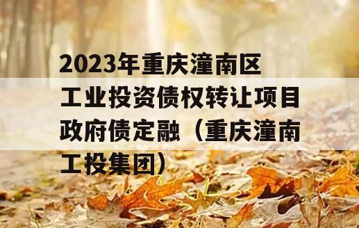 2023年重庆潼南区工业投资债权转让项目政府债定融（重庆潼南工投集团）