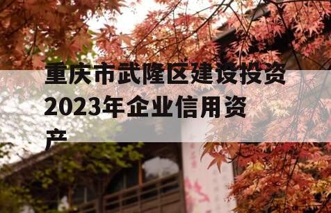 重庆市武隆区建设投资2023年企业信用资产