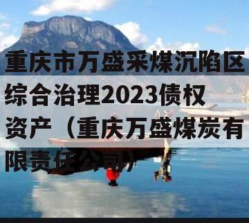 重庆市万盛采煤沉陷区综合治理2023债权资产（重庆万盛煤炭有限责任公司）