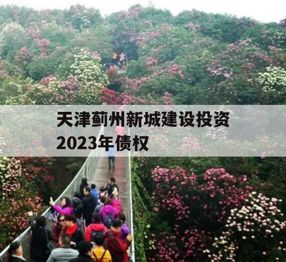 天津蓟州新城建设投资2023年债权