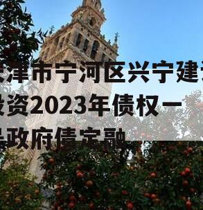 天津市宁河区兴宁建设投资2023年债权一号政府债定融