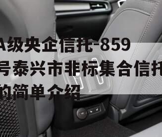 A级央企信托-859号泰兴市非标集合信托的简单介绍