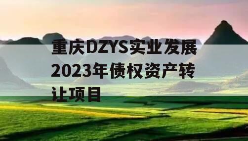 重庆DZYS实业发展2023年债权资产转让项目