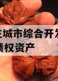 枣庄城市综合开发2023债权资产