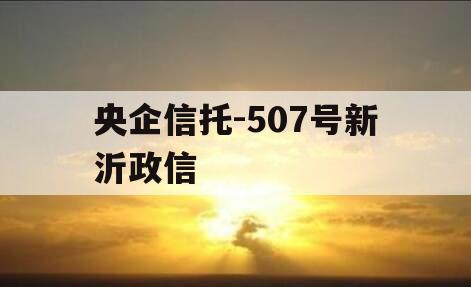 央企信托-507号新沂政信