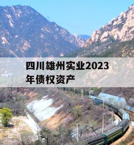 四川雄州实业2023年债权资产