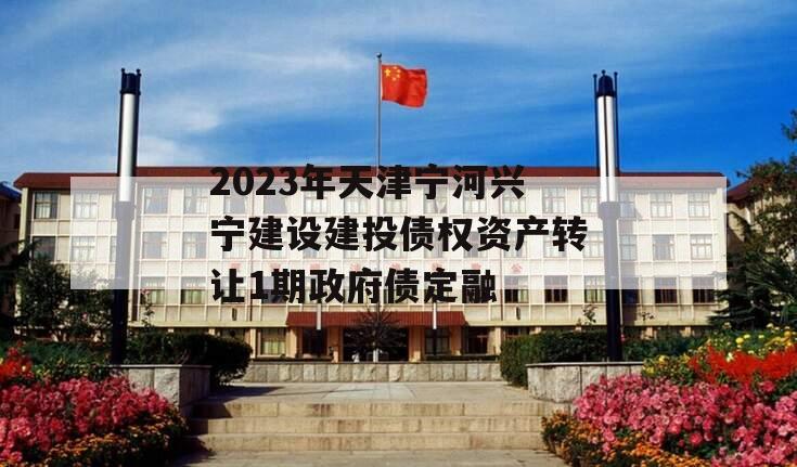 2023年天津宁河兴宁建设建投债权资产转让1期政府债定融